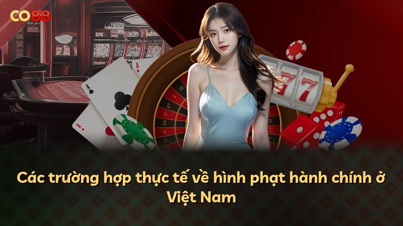 Các trường hợp thực tế về hình phạt hành chính ở Việt Nam