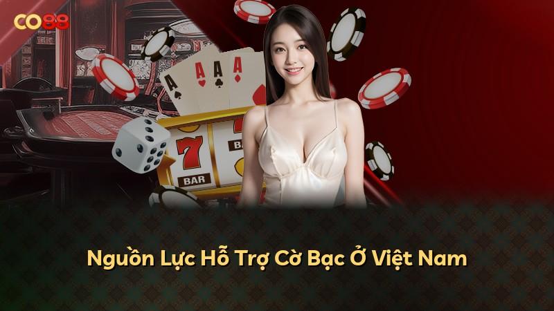 Nguồn Lực Hỗ Trợ Cờ Bạc Ở Việt Nam