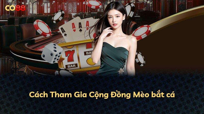 Cách Tham Gia Cộng Đồng Mèo bắt cá