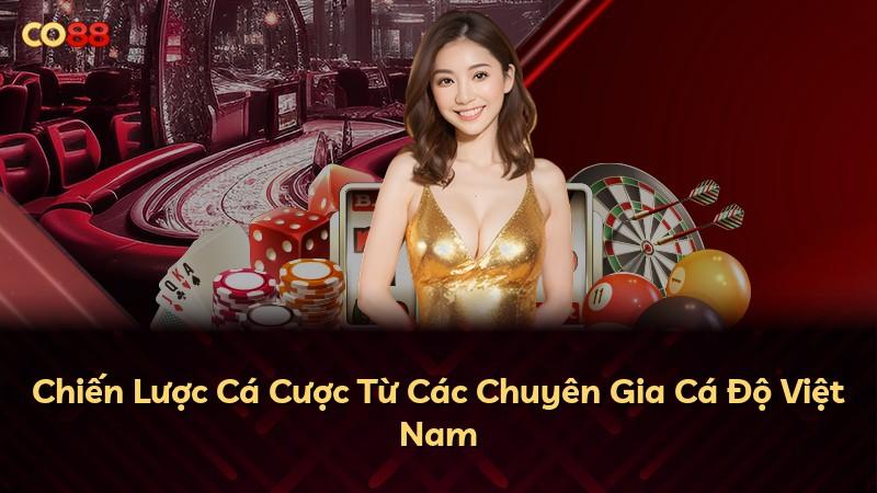 Chiến Lược Cá Cược Từ Các Chuyên Gia Cá Độ Việt Nam