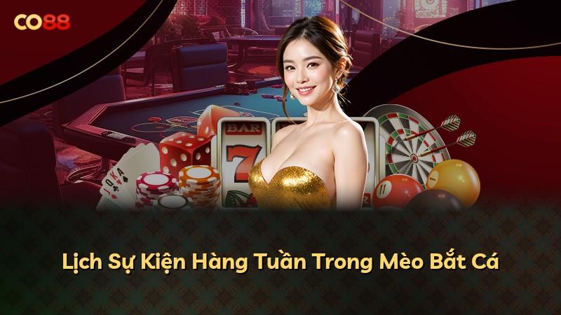 Lịch Sự Kiện Hàng Tuần Trong Mèo Bắt Cá