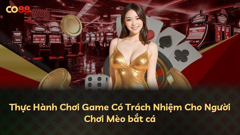 Thực Hành Chơi Game Có Trách Nhiệm Cho Người Chơi Mèo bắt cá