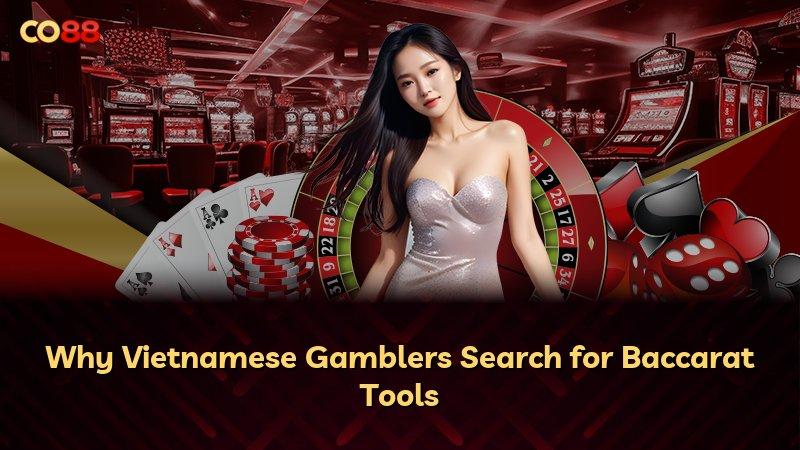 Why Vietnamese Gamblers Search for Baccarat Tools